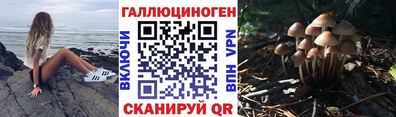 Псилоцибиновые грибы прущие грибы  Купить где  Дубовка 